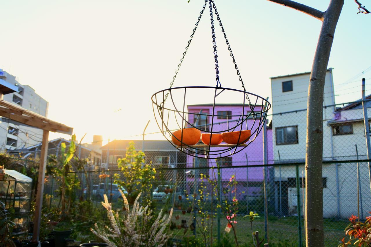 Kamagasaki University Of The Arts Cafe Garden Guest House Aka Cocoroom Osaka Exterior foto